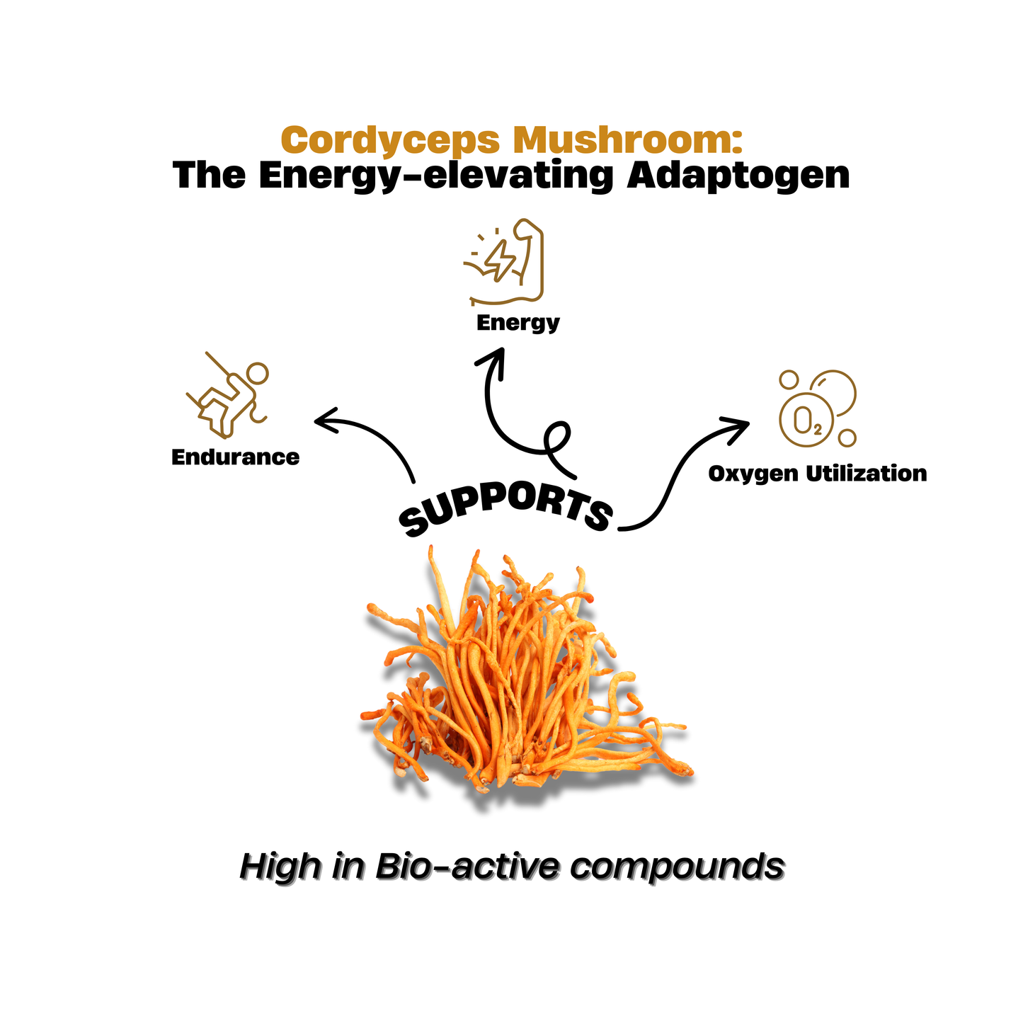 Cordyceps Mushroom Capsules – Himalayan Keeda Jadi Precision Extract, 60 Count