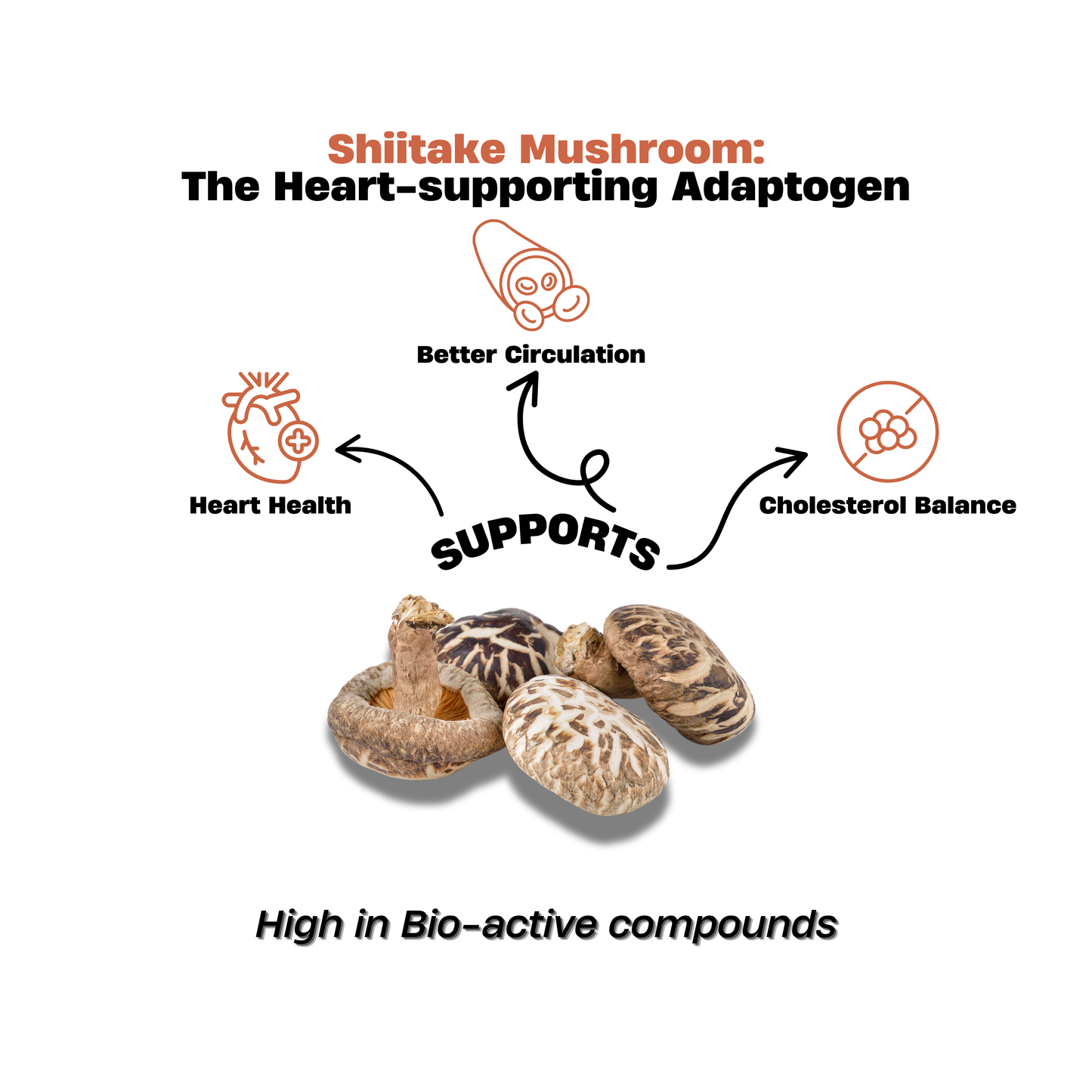 Shiitake Mushroom Extract Powder 50g – Cardio Care Formula