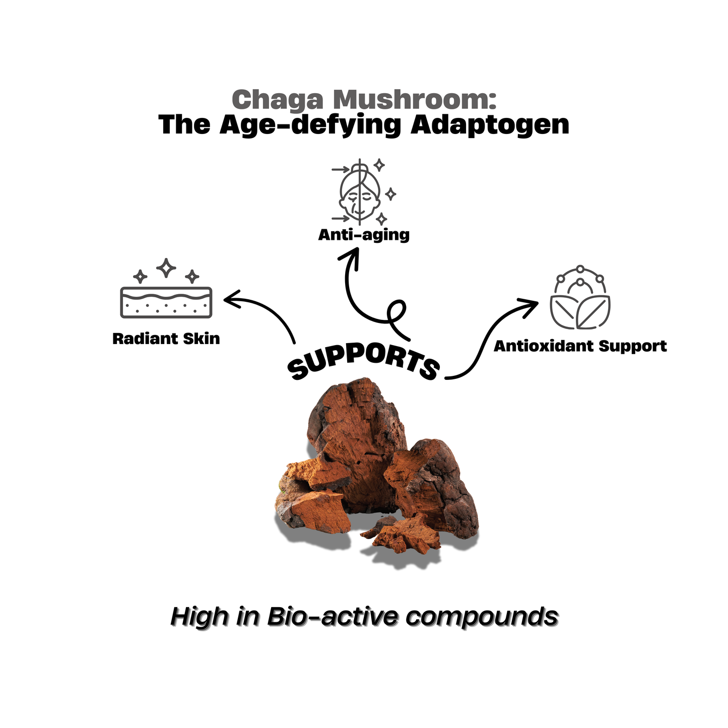 Chaga Mushroom Extract Powder 50g – Skin Glow & Detox Formula