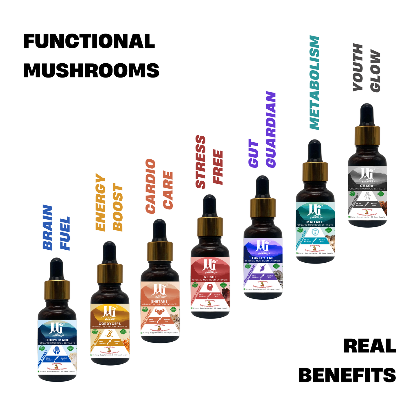Lion’s Mane Mushroom Extract Drops 30ml – Instant Brain Support
