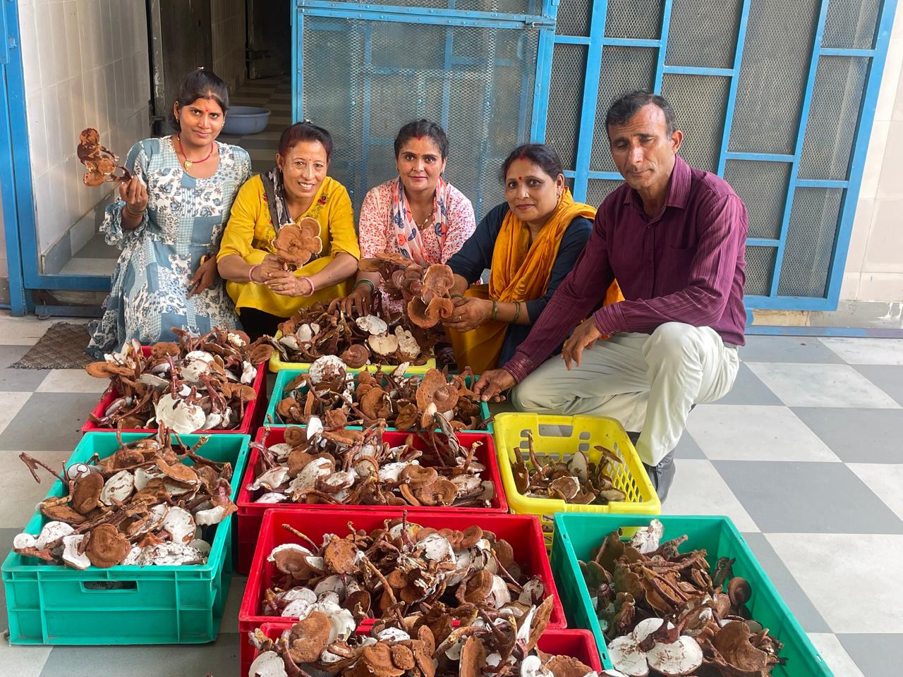 Lab Training Han Agrocare Hi Shroomz