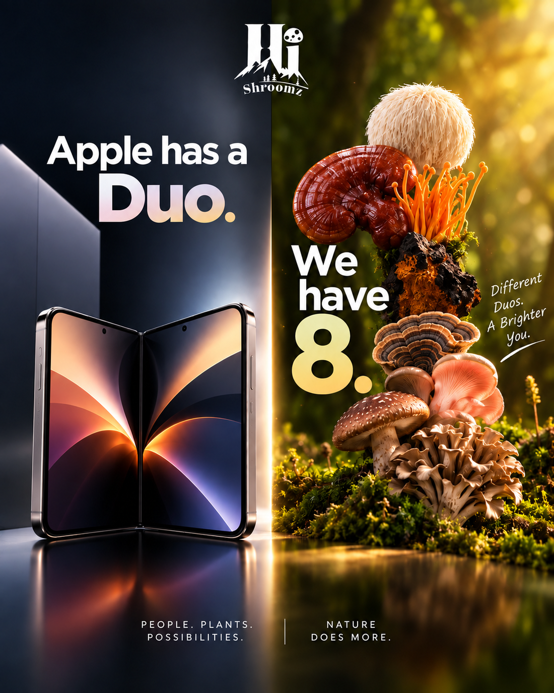 Introducing The Hi Shroomz Duo