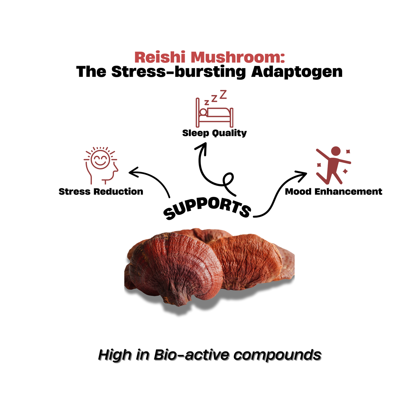 Red Reishi Mushroom Extract Powder 50g – Ultimate Calm