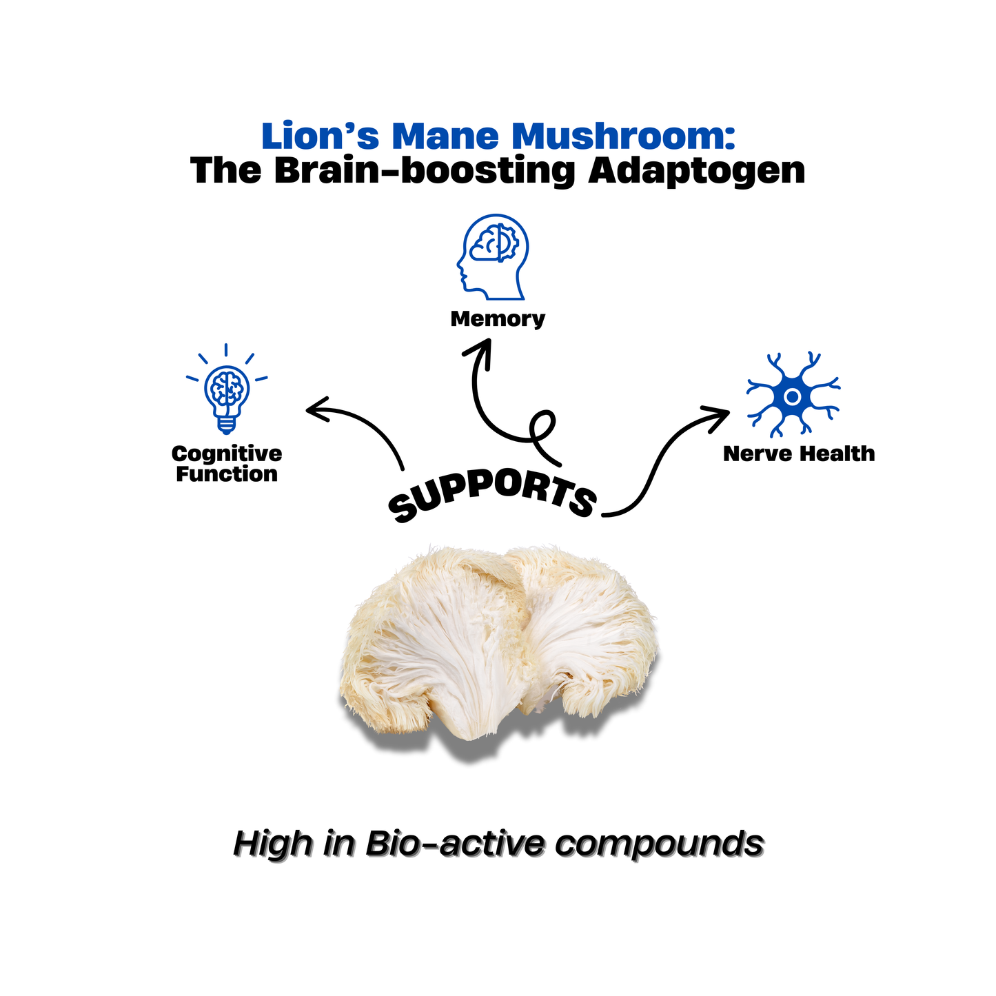 Lion’s Mane Mushroom Extract Drops 30ml – Instant Brain Support