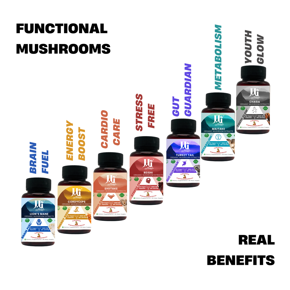 Hi Shroomz medicinal mushroom capsule collection featuring premium mushroom extracts for everyday wellness