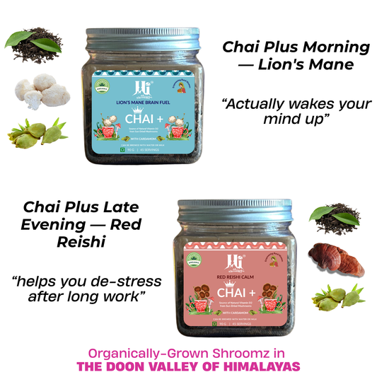 Chai Plus Ritual Bundle — Chai Plus Morning Lion's Mane and Chai Plus Late Evening Red Reishi chai teas by Hi Shroomz, both 90g packs together