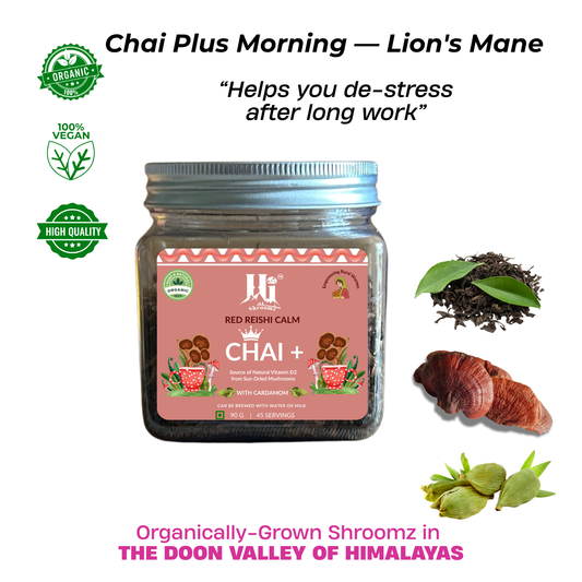 Chai Plus Late Evening Red Reishi adaptogen calm chai blend by Hi Shroomz — Himalayan grown fruiting body, 90g pack