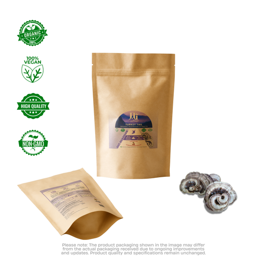 Turkey Tail Extract Powder India – Gut Health, Pure Himalayan Mushroom