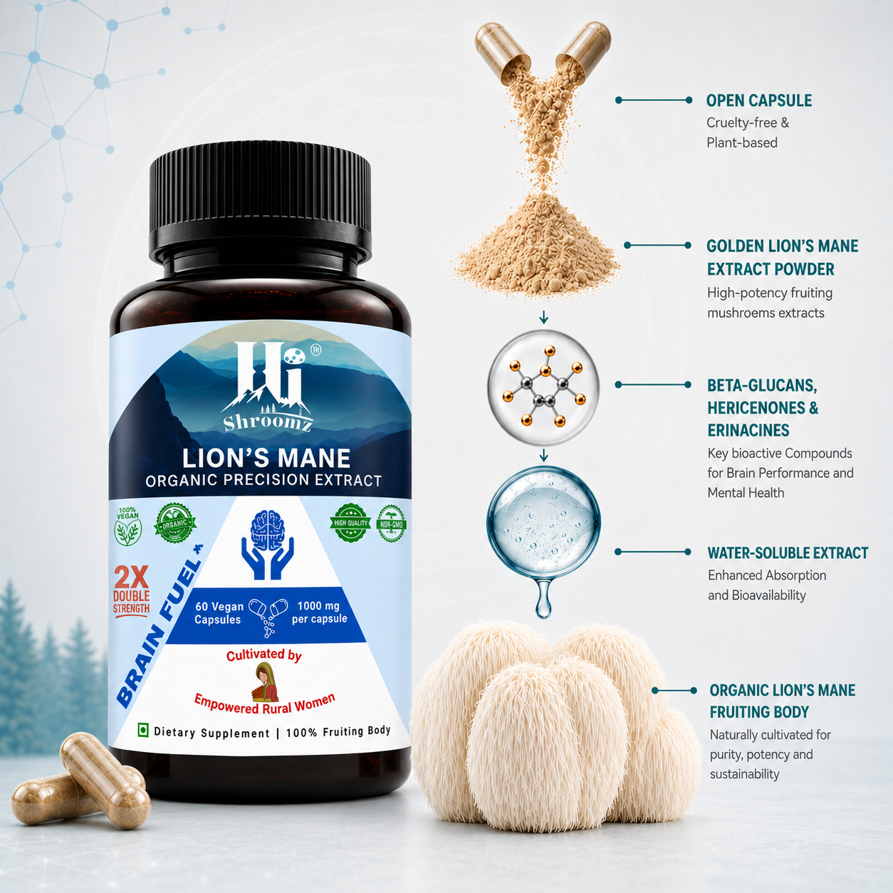 Hi Shroomz Lion’s Mane mushroom extract illustration showing fruiting body, hot-water extraction, bioactive compounds and water-soluble extract