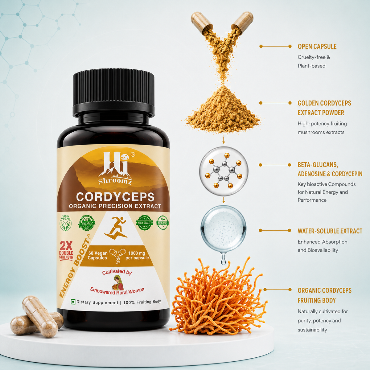 Hi Shroomz Cordyceps formulation showing extract powder, beta-glucans, adenosine, cordycepin, water-soluble extract and organic Cordyceps fruiting body