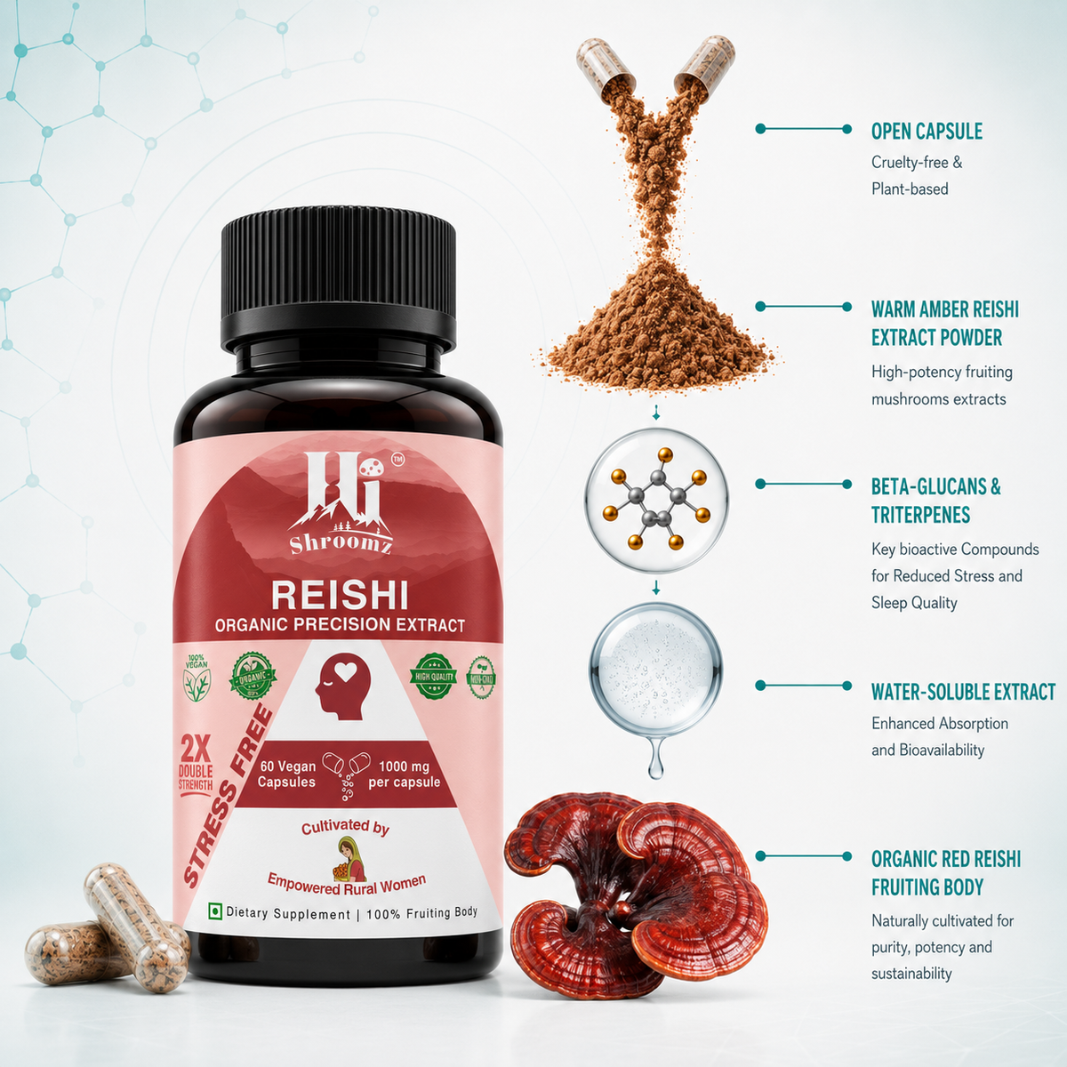 Hi Shroomz Reishi extract capsule showing mushroom extract powder, bioactive compounds and water-soluble extract
