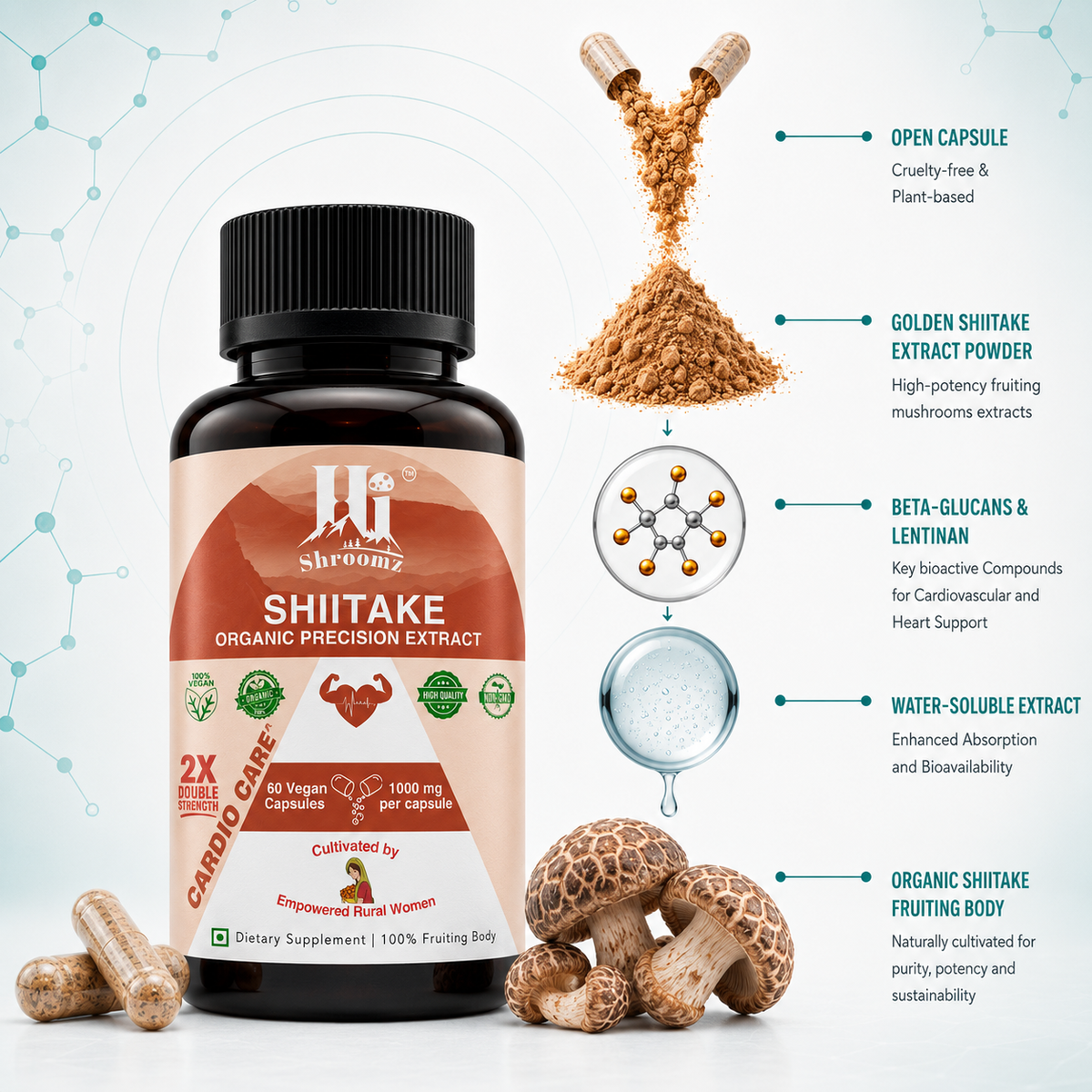 Hi Shroomz Shiitake extract infographic showing Shiitake powder, beta-glucans, lentinan, water-soluble extract and fruiting body