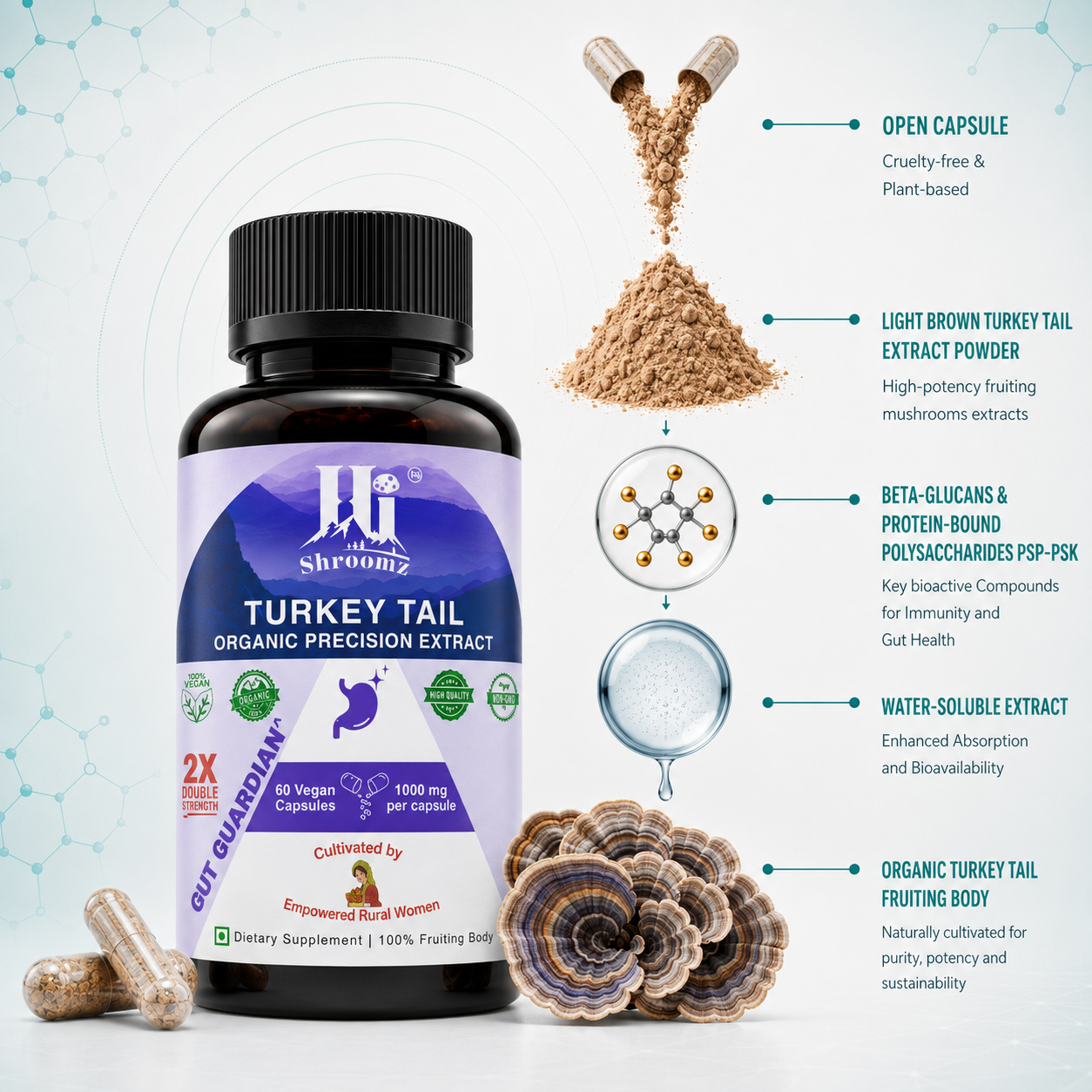 Hi Shroomz Turkey Tail extract infographic showing hot water extraction, beta-glucans, PSP, PSK and water-soluble mushroom extract