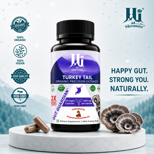 Hi Shroomz Turkey Tail organic mushroom capsules with Turkey Tail fruiting bodies for daily gut and immune wellness